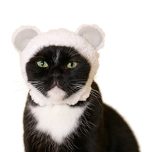 Load image into Gallery viewer, Kitan Club Cat Cap Blind Box Bear Series