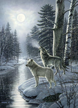 Load image into Gallery viewer, Wolves by Moonlight 1000pc Puzzle by Cobble Hill
