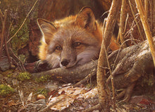 Load image into Gallery viewer, A Touch of Warmth 500pc Fox Puzzle by Cobble Hill