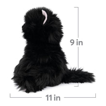Load image into Gallery viewer, Xavier Black Kitten 9" Plush by Gund
