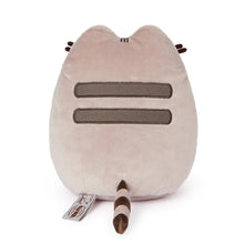 Load image into Gallery viewer, Pusheen Holding Gund Kai Bear 9.5" Plush by Gund