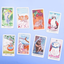 Load image into Gallery viewer, Cat Tarot