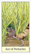Load image into Gallery viewer, Cat's Eye Tarot by Debra M. Givin, DVM