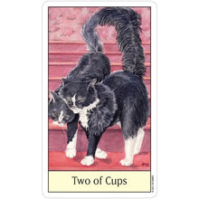 Load image into Gallery viewer, Cat's Eye Tarot by Debra M. Givin, DVM