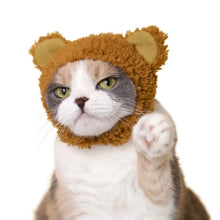 Load image into Gallery viewer, Kitan Club Cat Cap Blind Box Bear Series