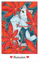 Load image into Gallery viewer, Affirmations of the Fairy Cats Deck and Book Set by Brenda June Saydak
