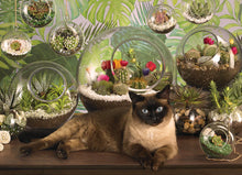 Load image into Gallery viewer, Terrarium Cat 1000pc Puzzle by Cobble Hill
