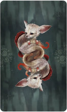 Load image into Gallery viewer, Wisdom of the Wild Things Oracle
