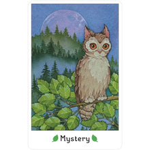 Load image into Gallery viewer, Affirmations of the Fairy Cats Deck and Book Set by Brenda June Saydak
