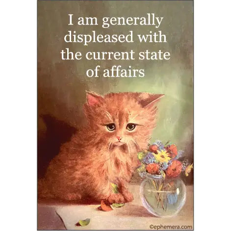 I am Generally Displeased With the Current State of Affairs Magnet