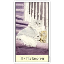Load image into Gallery viewer, Cat's Eye Tarot by Debra M. Givin, DVM
