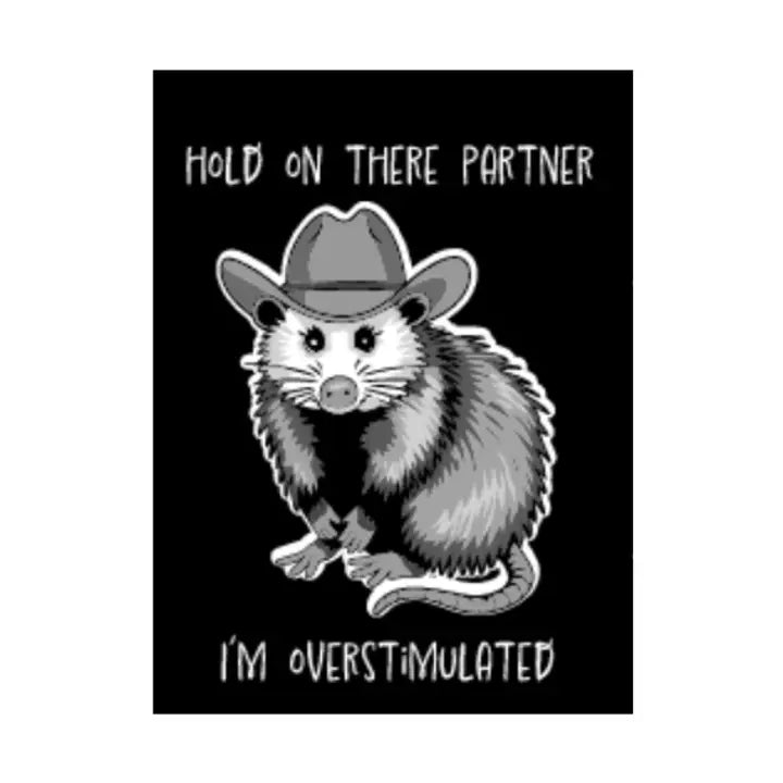 Hold On There Partner, I'm Overstimulated Cowboy Opossum Magnet