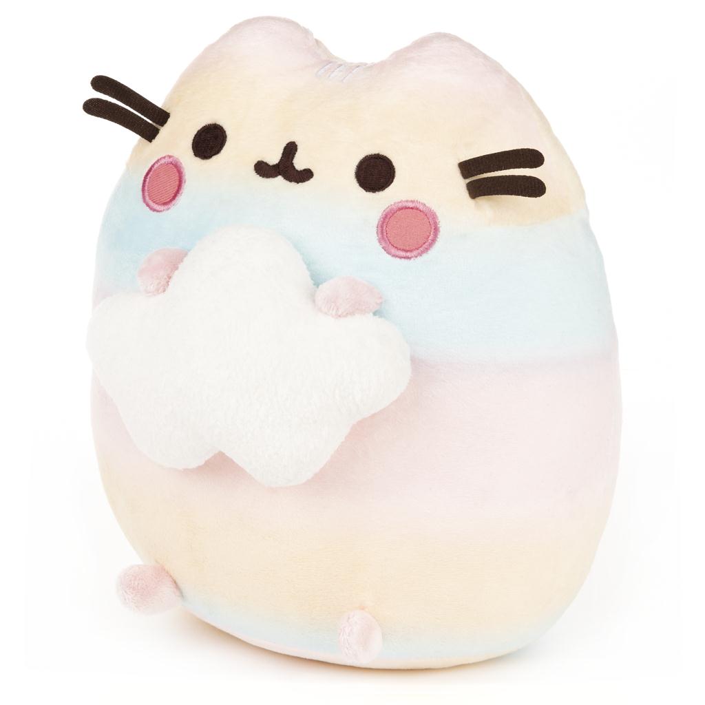 Rainbow Ombre Pusheen Holding a Cloud 9.5