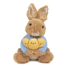 Load image into Gallery viewer, Peter Rabbit Holding Chicks 9.5&quot; Plush
